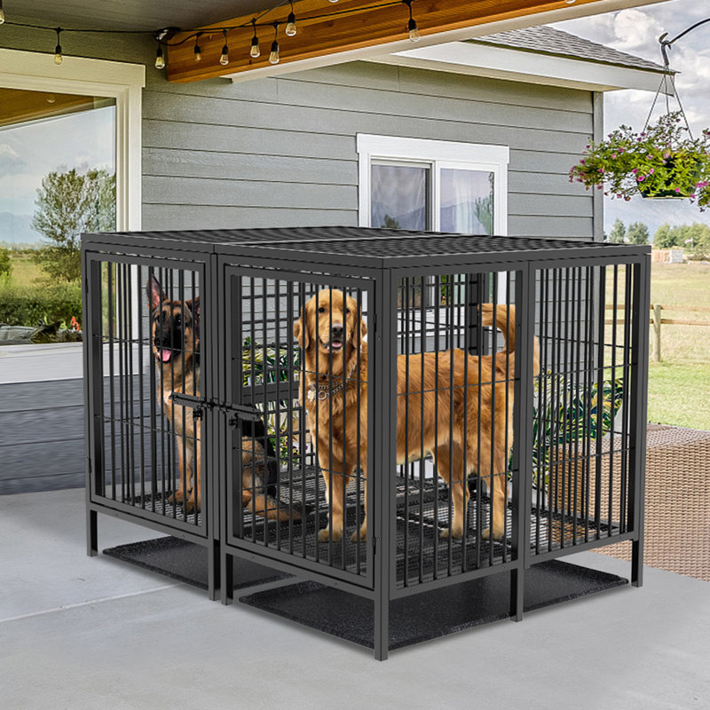 Tucker Murphy Pet 52 Inch Dog Crate With Divider Panel Heavy Duty Pet Cage House For 2 Large Medium And Small Dogs Reviews Wayfair